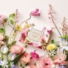 AERIN Bästsäljande Doftupptäckarset